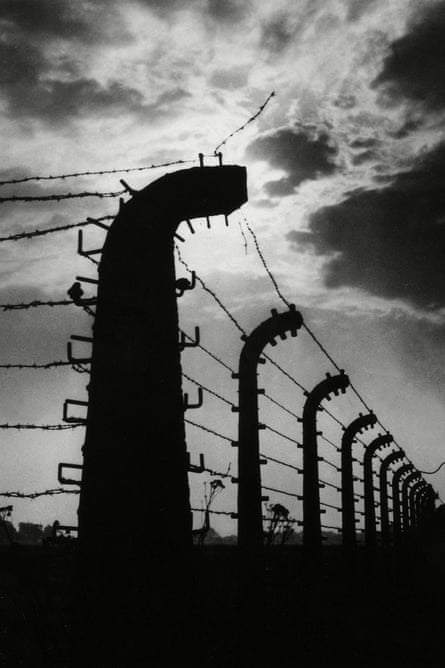 The Auschwitz fence.