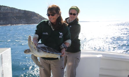 Libby Hall (front) releasing a sea turtle back into the wild after it was treated at the wildlife hospital.
