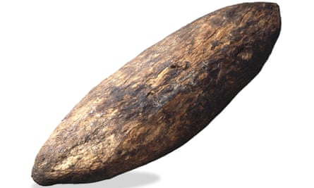 Aboriginal wooden shield