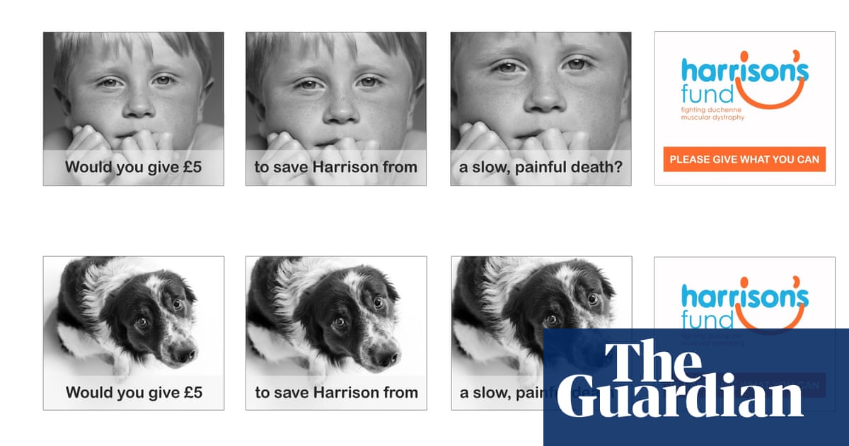 Man v dog: which charity campaign would you donate to? | Voluntary Sector  Network | The Guardian