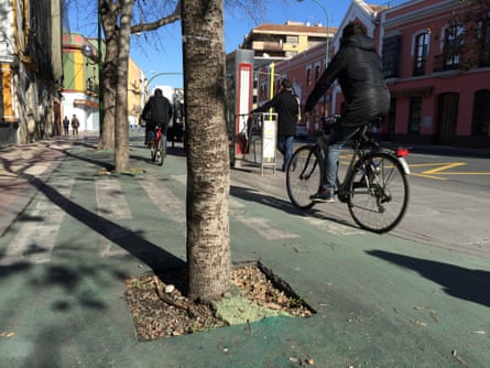 Seville bike lane