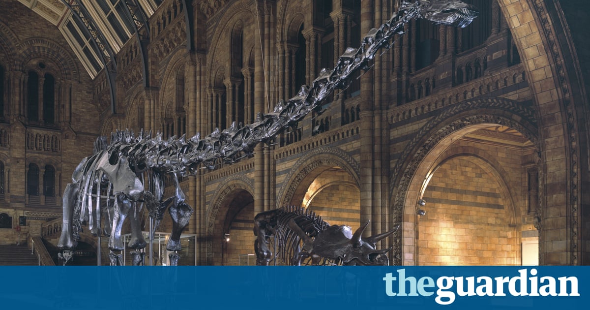 Guardian Jobs Natural History Museum Guardian Jobs Natural History Museum