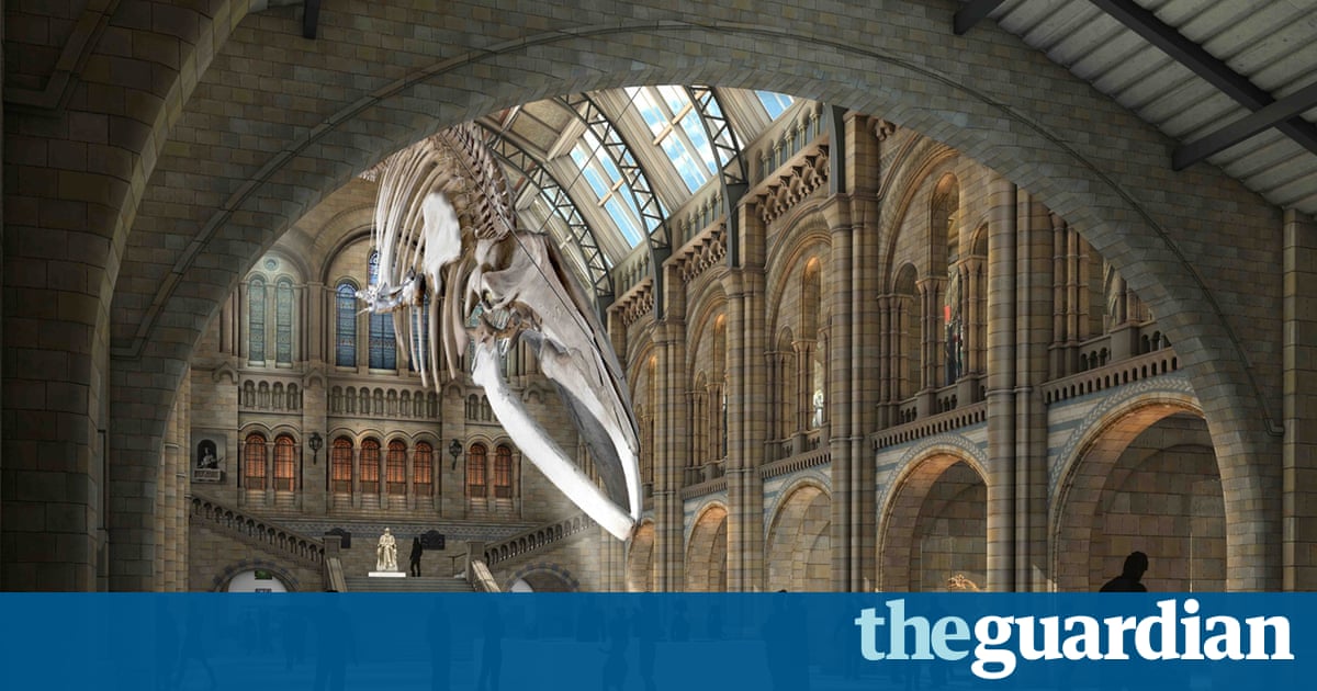 Guardian Jobs Natural History Museum Guardian Jobs Natural History Museum