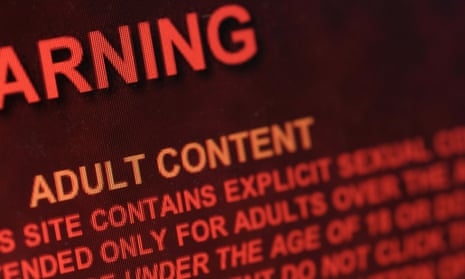 The majority of young people use porn to find out about sex.