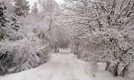 Narnia road
