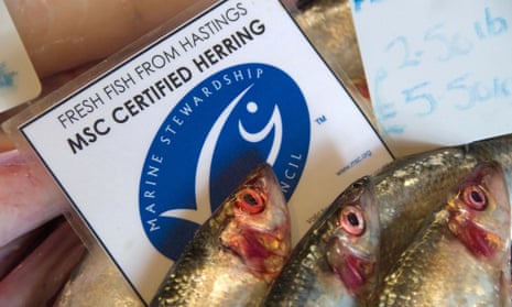 BT44W6 Fresh Hastings fish Marine Stewardship Council certified sustainable herring on sale at Rock-a-Nore Fisheries The Stade Hastings. Image shot 10/2010. Ex