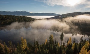 Behind One Of The Nature Conservancy S Largest Ever Forest Purchases Guardian Sustainable Business The Guardian