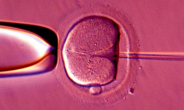IVF artificial insemination of human female egg mitochondrial disease treatment