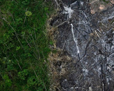 Amazon deforestation