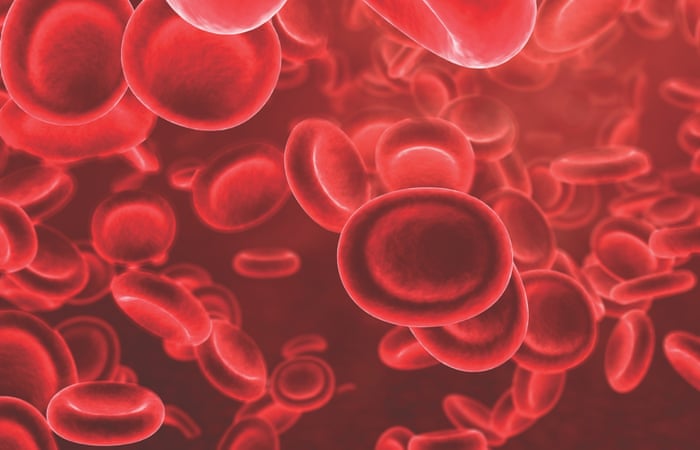 Blood cells