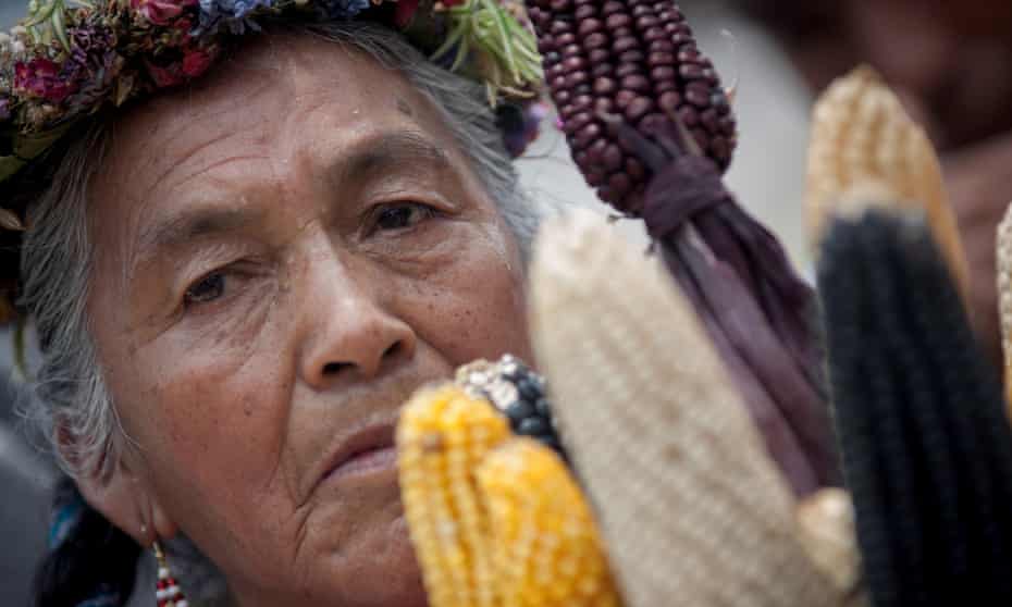A woman participates in a protest against transgenic corn last year in Mexico City, Mexico. Monsanto announced that its first-quarter earnings dropped on lower sales to South American farmers.