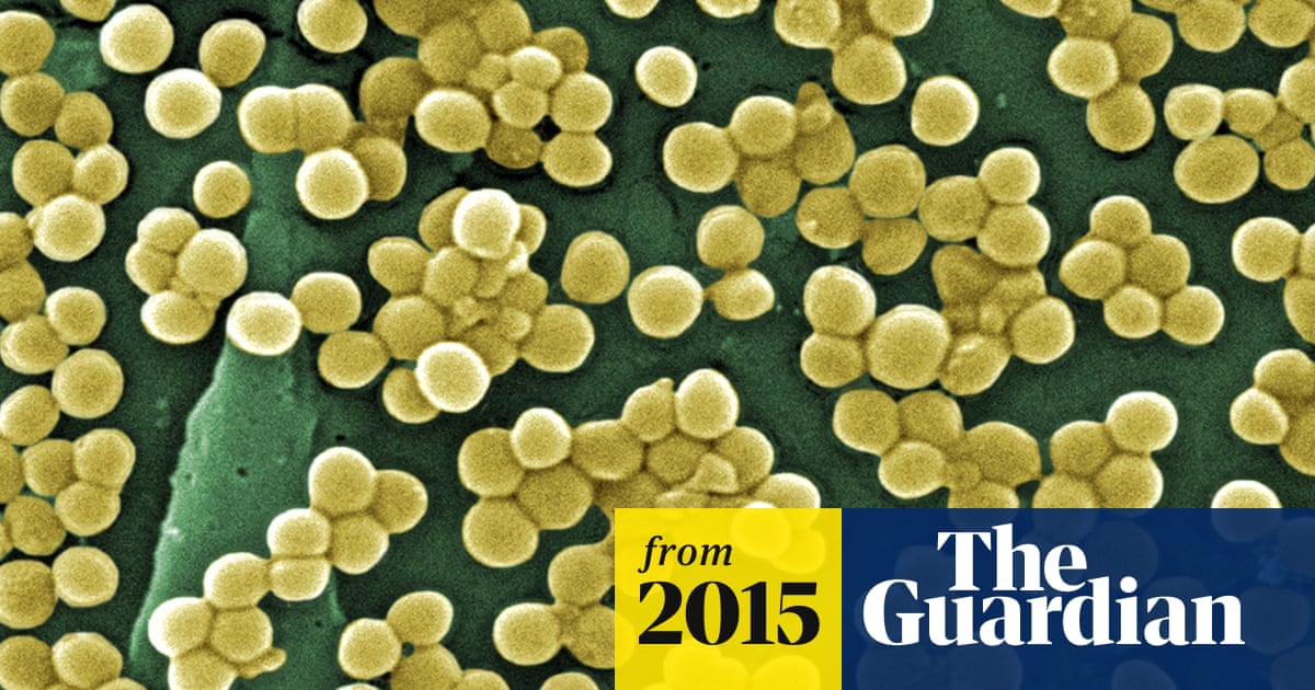New class of antibiotic could turn the tables in battle against superbugs