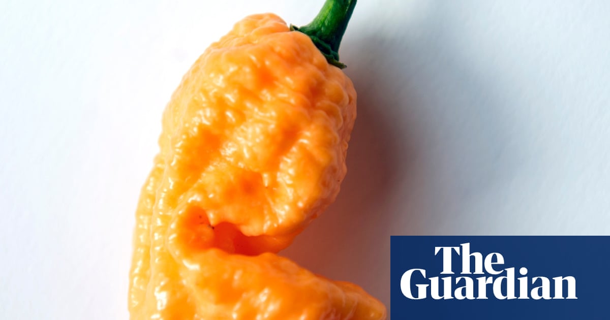 pics What Is The Hottest Pepper In The World On The Scoville Scale scoville scale the hottest chillies in