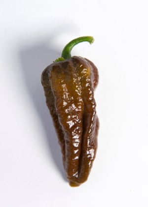 scoville scale the chillies in the world in pictures world s pepper chart