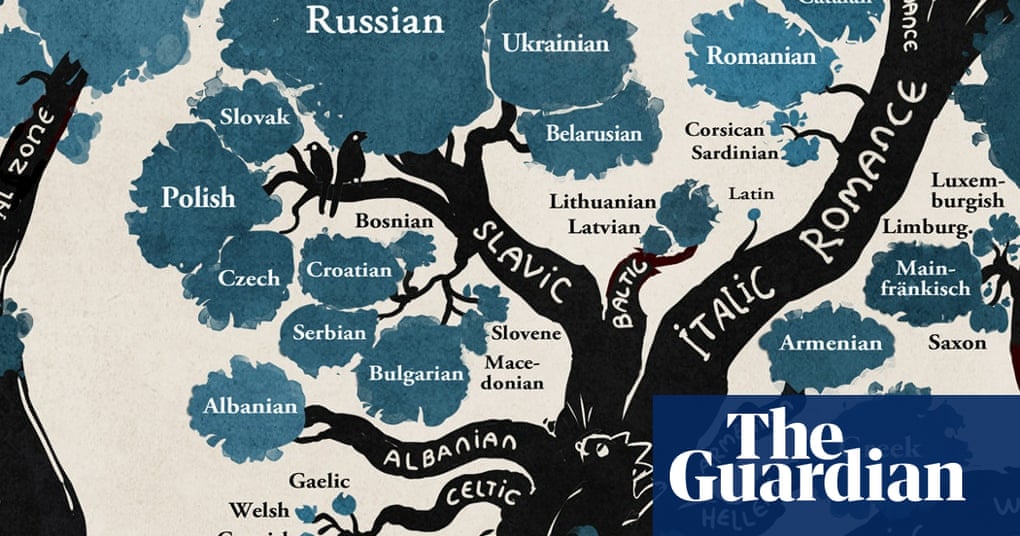A Language Family Tree In Pictures Education The Guardian Tree definition, a plant having a permanently woody main stem or trunk, ordinarily growing to a considerable height, and usually developing branches at some distance from the ground. a language family tree in pictures