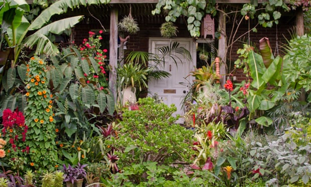 The Exotic Garden in Norwich was created by Will Giles and opened to the public for more than 30 years