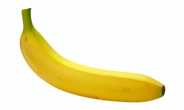 Featured image of post The Mountain Hamster Banana With the longest proven shelf life in the industry have peace of