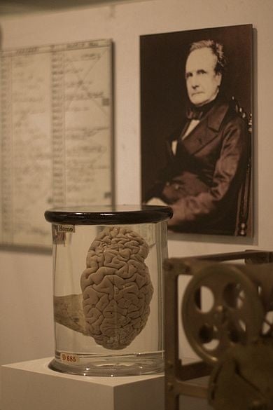 Babbage's brain on display at the Science Museum