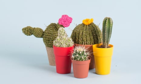 Ouch! ... knitted cacti are all the rage.