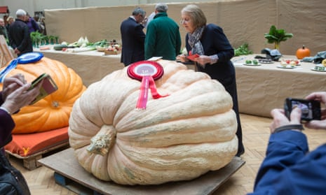Ian Paton's pumpkin takes the prize at the Royal Horticultural Society's harvest festival show