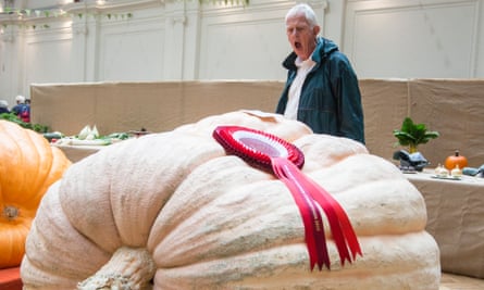 A visitor marvels at the Patons's prize-winning pumpkin.