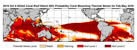 February-May 2016 NOAA’s extended bleaching outlook showing the threat of bleaching moving from the Pacific into the Coral Trianlge bioregion