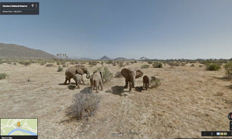 The Hardwood family of elephants in Samburu national reserve, Kenya.