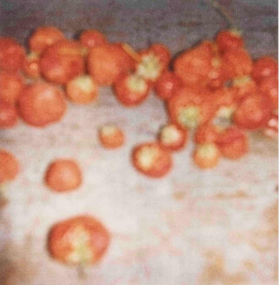 Strawberries (Gaeta), 2008