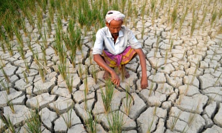 A farmer waits for rain in Assam. 