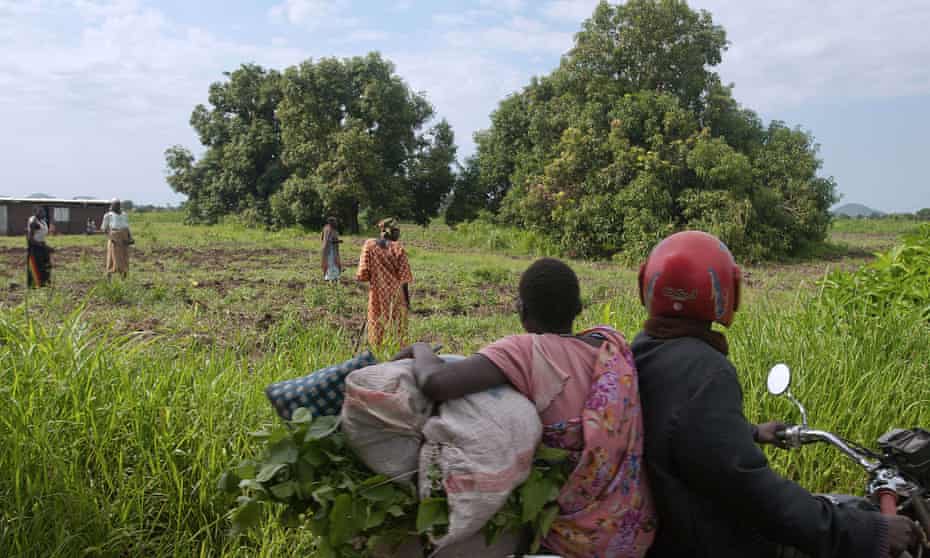 TechnoServe hope to engage up to 15,000 farmers like the ones pictured here, working their land on the outskirts of Juba.