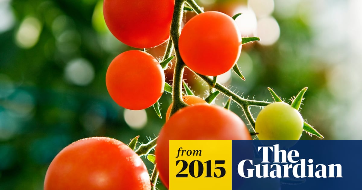 http://www.theguardian.com/technology/2015/nov/10/open-sourced-food-production-future-urban-diets social preview image