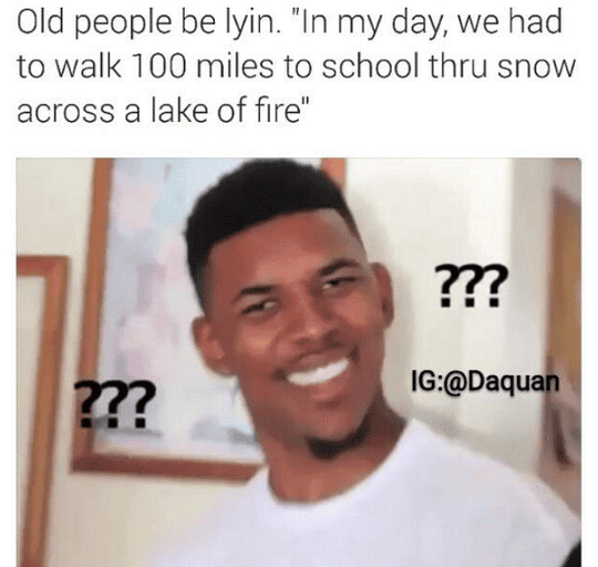 The 12 Best Memes Of 2015 Runaway Llamas The Dress Adele Technology The Guardian