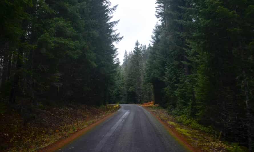 Looking For Sasquatch An Expedition Along The Oregon Bigfoot Highway Oregon The Guardian Bigfoot Sightings 2022 Map Oregon