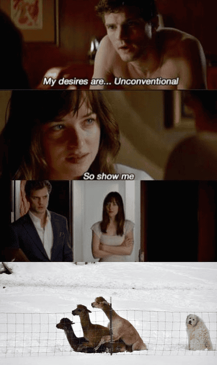 The 12 Best Memes Of 2015 Runaway Llamas The Dress Adele Technology The Guardian