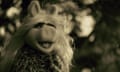 Miss Piggy does Adele's Hello