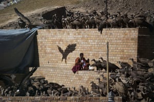 A Buddhist monk collects his belongings as vultures gather around a body of a deceased person during a sky burial near the Larung valley