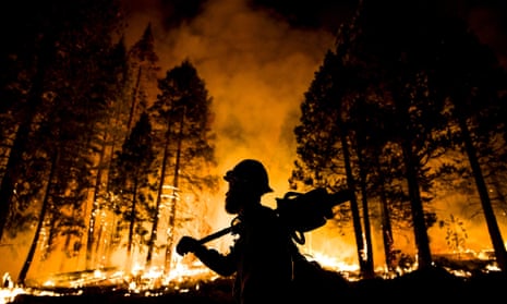 Los Padres National Forest firefighter Jameson Springer watches a controlled burn on the so-called "Rough Fire" in the Sequoia National Forest, California, on August 21, 2015.