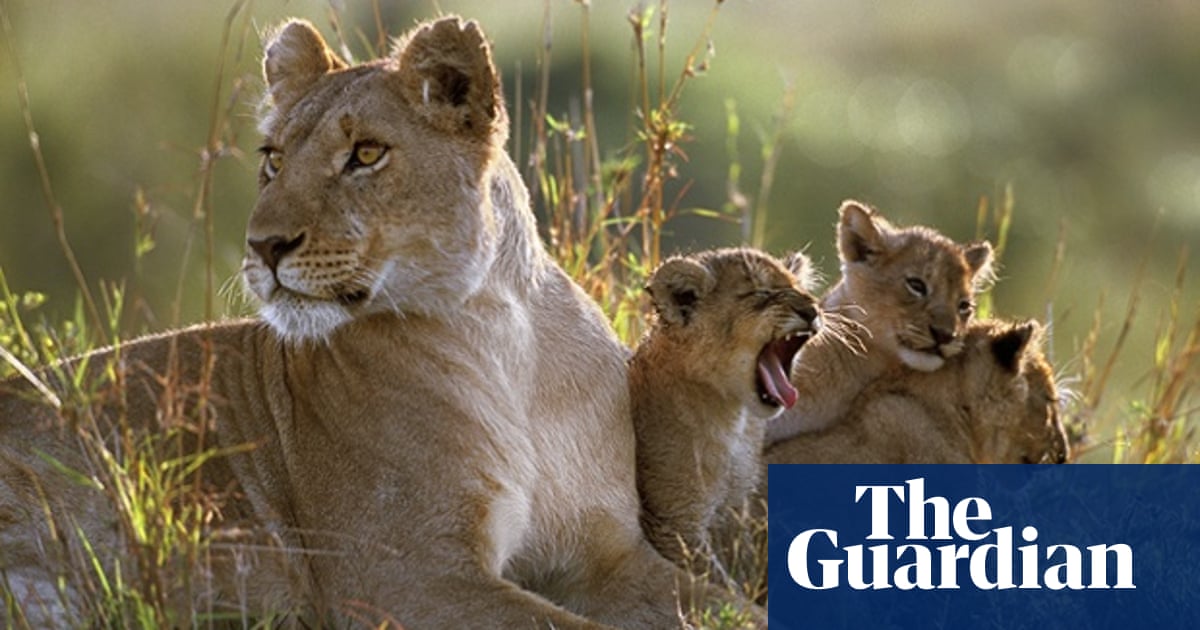 The Marsh Pride End Of An Era Environment The Guardian