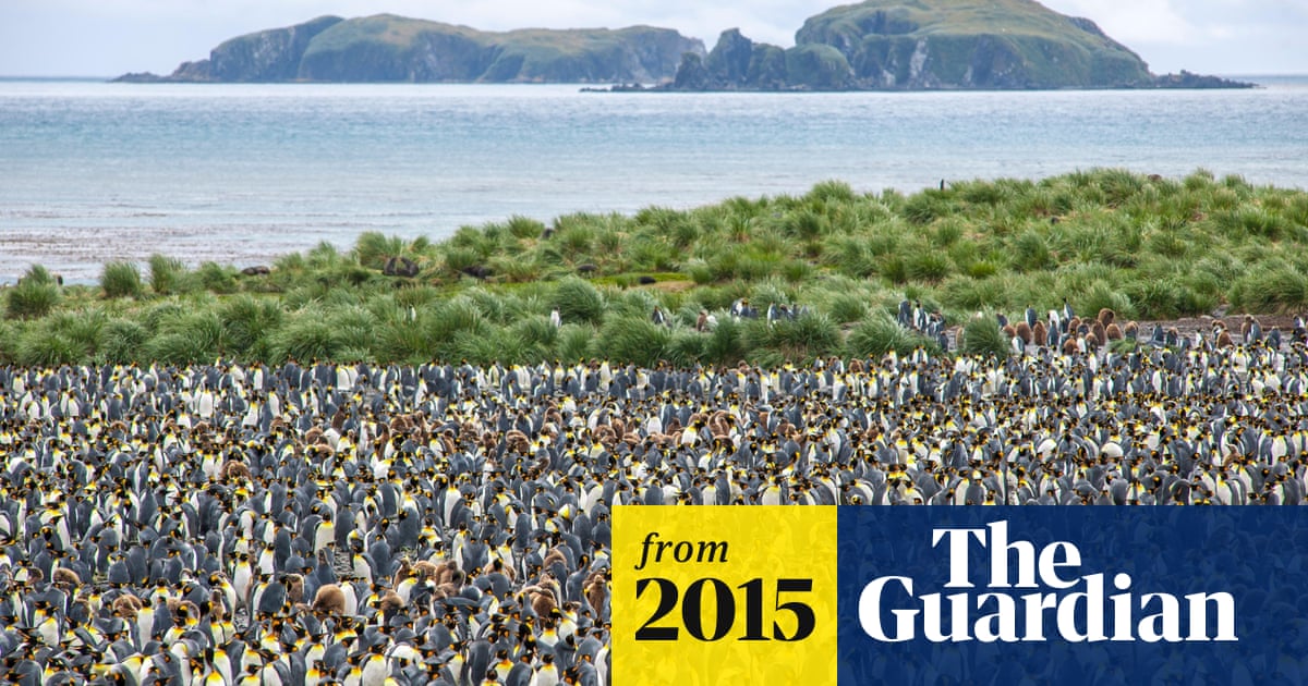 Conservationists call for UK to create world's largest marine reserve