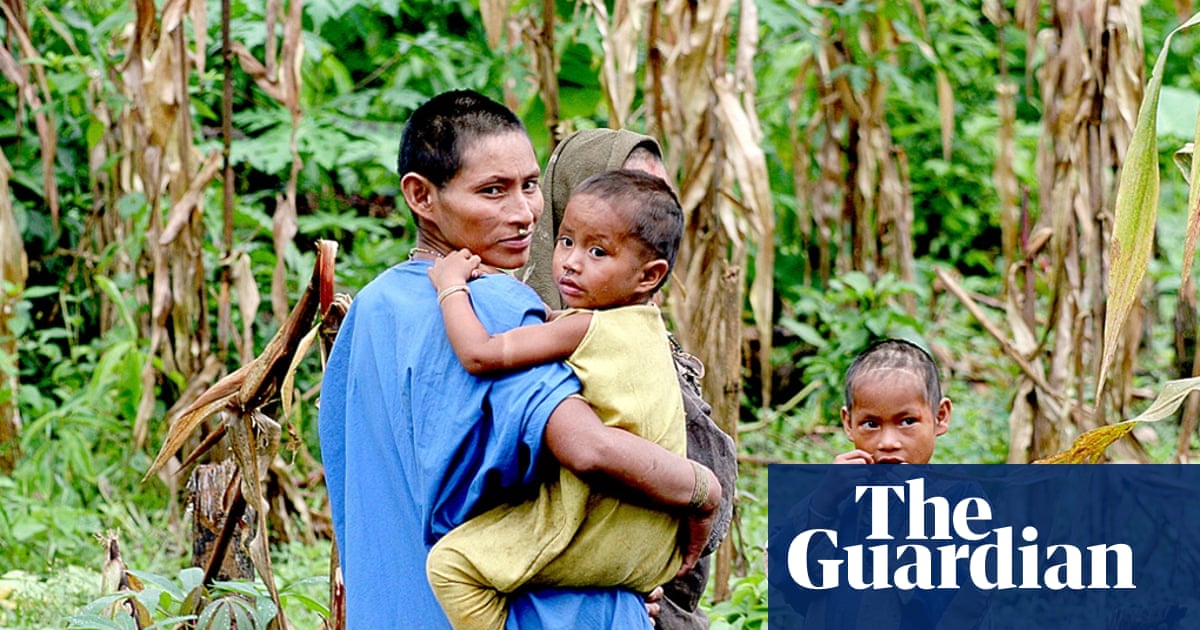 Peru Planning Highway Through Most Biodiverse Place On Earth Indigenous Peoples The Guardian