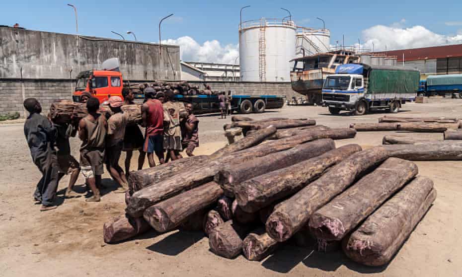 loads rosewood Toamasina