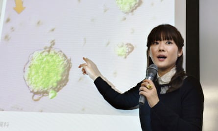 Haruko Obokata speaking about her research results.