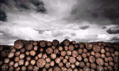Log pile and clouds 