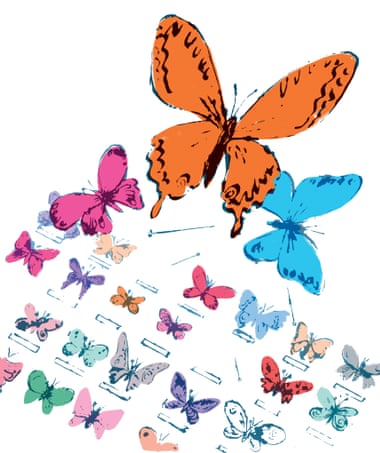 Butterflies illustration