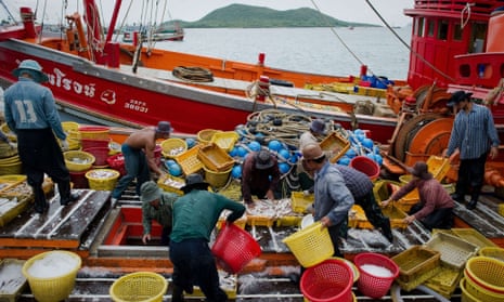 Thai fishing industry
