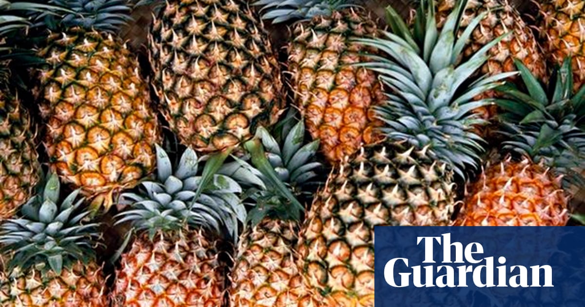 Forget About Cotton We Could Be Making Textiles From Banana And