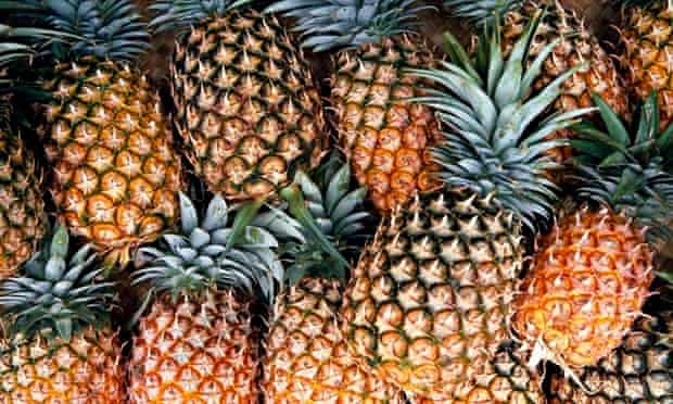 Group of Pineapples