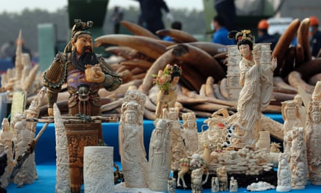 Confiscated ivory in Dongguan, southern Guangdong province, China