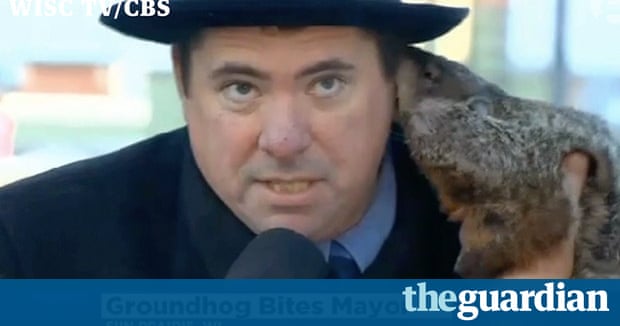 groundhog day jimmy nip in the air on groundhog day jimmy bites mayor s groundhog day jimmy nip in the air on groundhog day jimmy bites mayor s