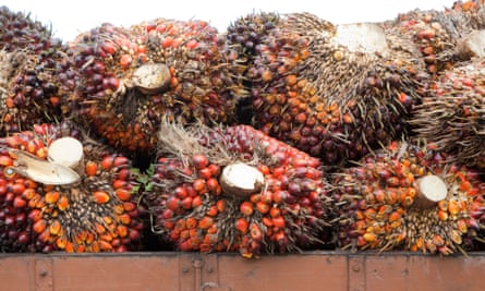 Stack of oil palm fresh fruit bunches on truck
